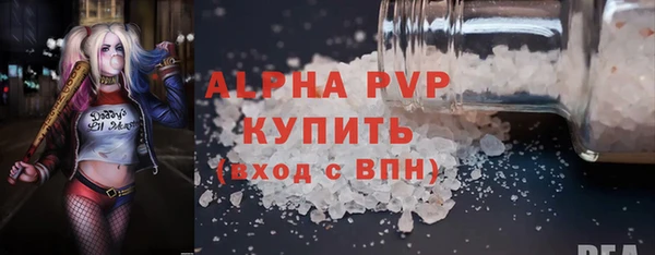 хмурый Новозыбков