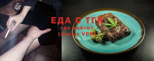 хмурый Новозыбков