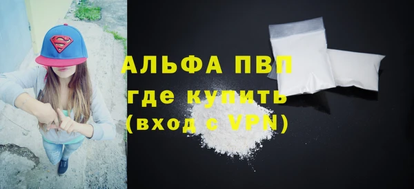 хмурый Новозыбков