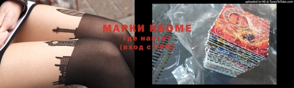 хмурый Новозыбков