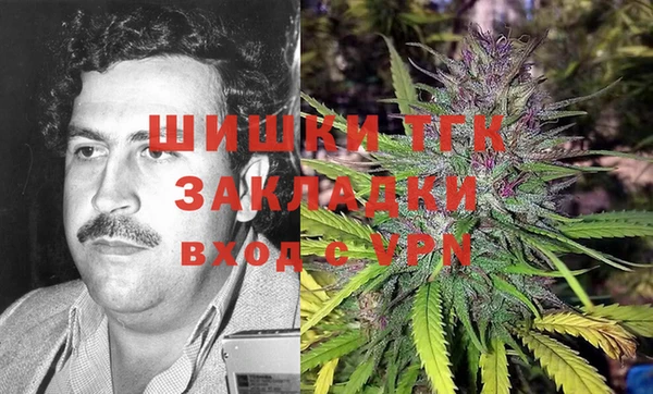 хмурый Новозыбков