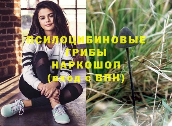 хмурый Новозыбков