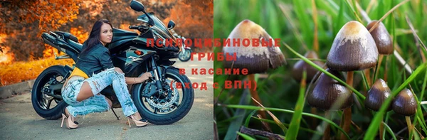 скорость Новодвинск