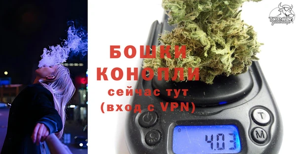хмурый Новозыбков