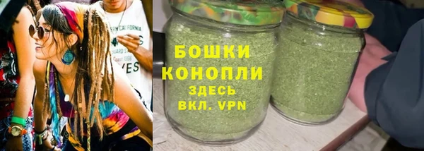 хмурый Новозыбков