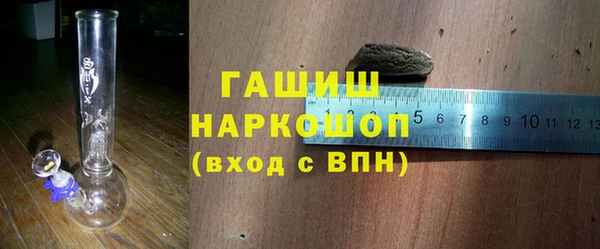 хмурый Новозыбков
